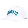 Diadem Upside Down Hat
