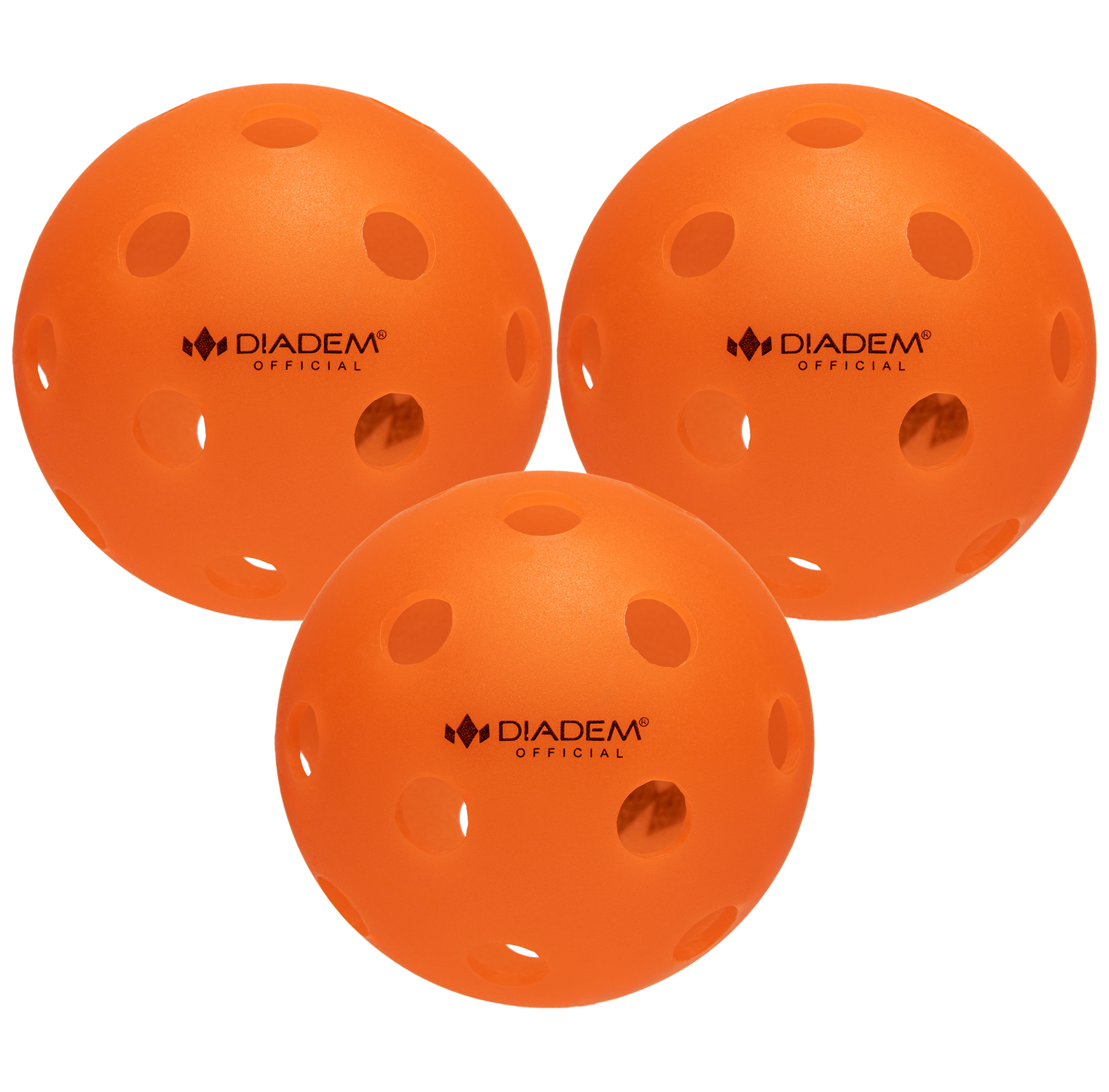 Official Pickleball Indoor Pickleball