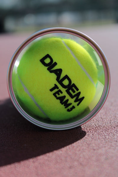 Diadem Premier Team Ball - Case - Diadem Sports